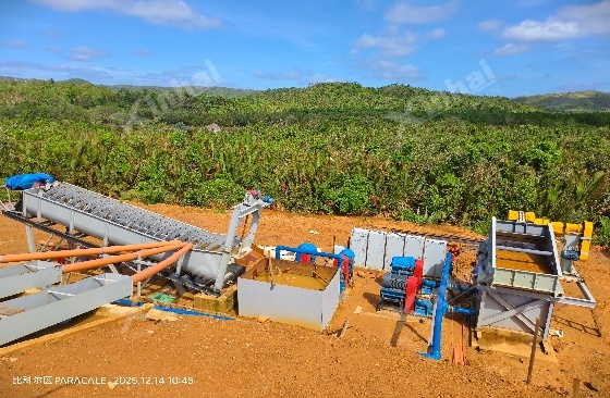 菲律宾砂金矿项目