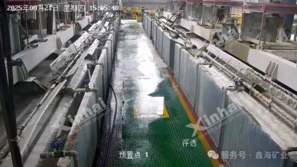 lithium-mica-flotation-cells.jpg lithium-mica-flotation-cells.jpg
