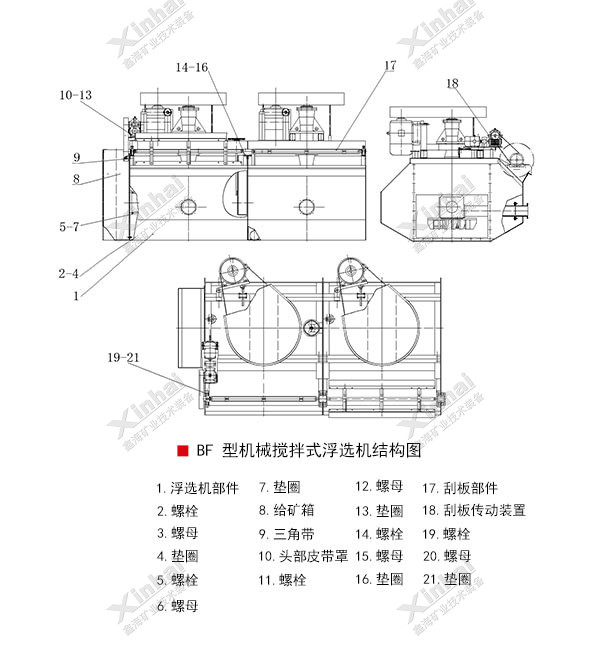BF-2.jpg BF-2.jpg