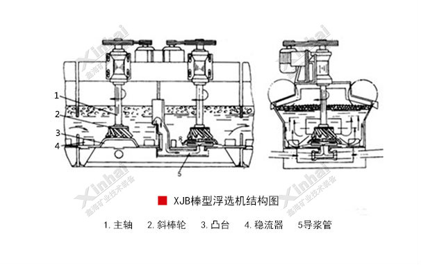 xjb-2.jpg