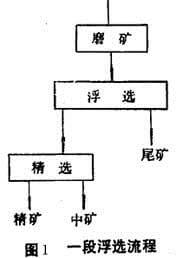 铁矿石浮选流程一段浮选